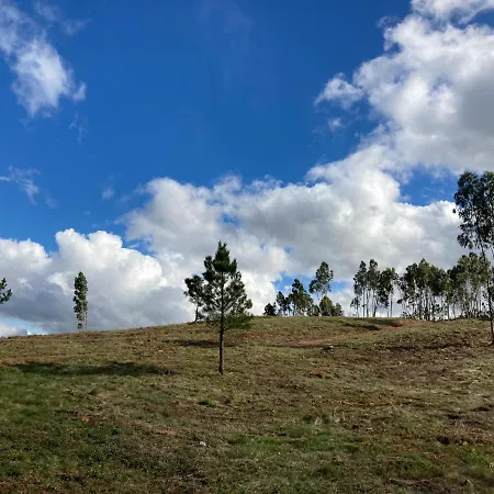 Suite Like Sweet-Refugio Tranquilo *