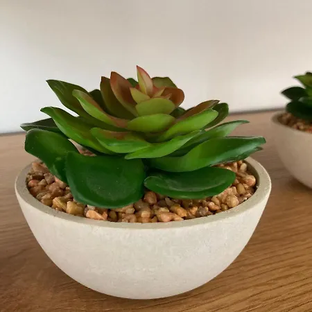 Suite Like Sweet-Refugio Tranquilo Séjour chez l'habitant *