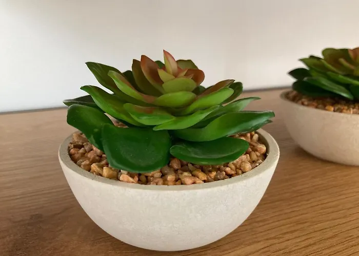 Like Sweet-refugio Tranquilo Accommodatie bij particulieren *